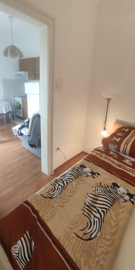 Jana Apartman تْسْغيكفانِتْسا المظهر الخارجي الصورة